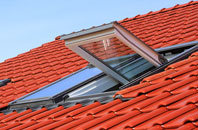 Elsecar roof window